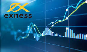 Comprehensive Exness Account Comparison Choosing the Right Account for You Comprehensive Exness Account Comparison Choosing the Right Account for You